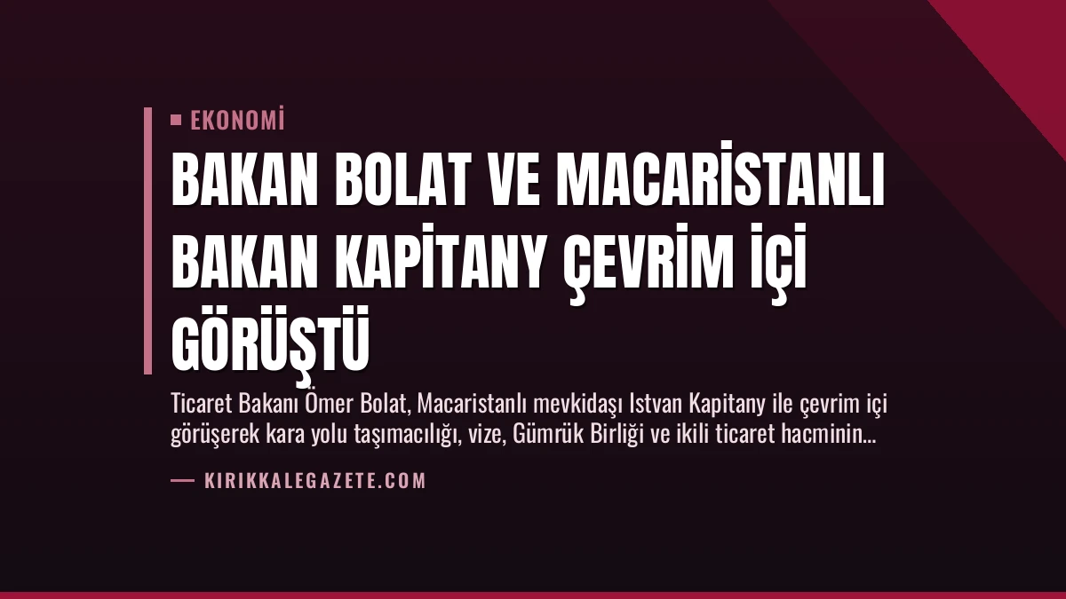 Bakan Bolat ve Macaristanlı Bakan Kapitany Çevrim İçi Görüştü