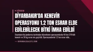 Diyarbakır’da Kenevir Operasyonu 1.2 Ton Esrar Elde Edilebilecek Bitki İmha Edildi