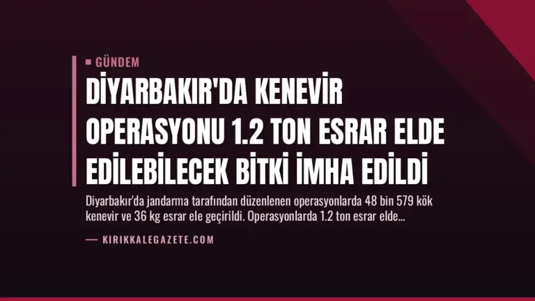 Diyarbakır’da Kenevir Operasyonu 1.2 Ton Esrar Elde Edilebilecek Bitki İmha Edildi