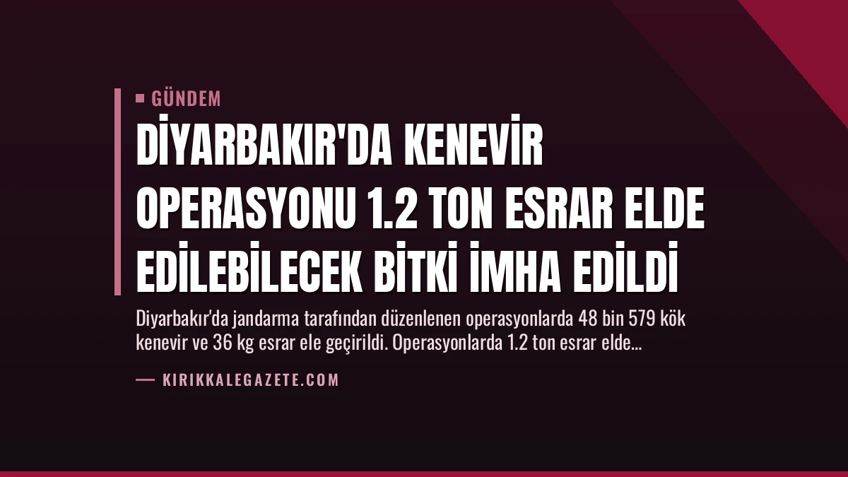 Diyarbakır’da Kenevir Operasyonu 1.2 Ton Esrar Elde Edilebilecek Bitki İmha Edildi