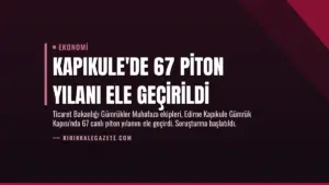 Kapıkule’de 67 Piton Yılanı Ele Geçirildi