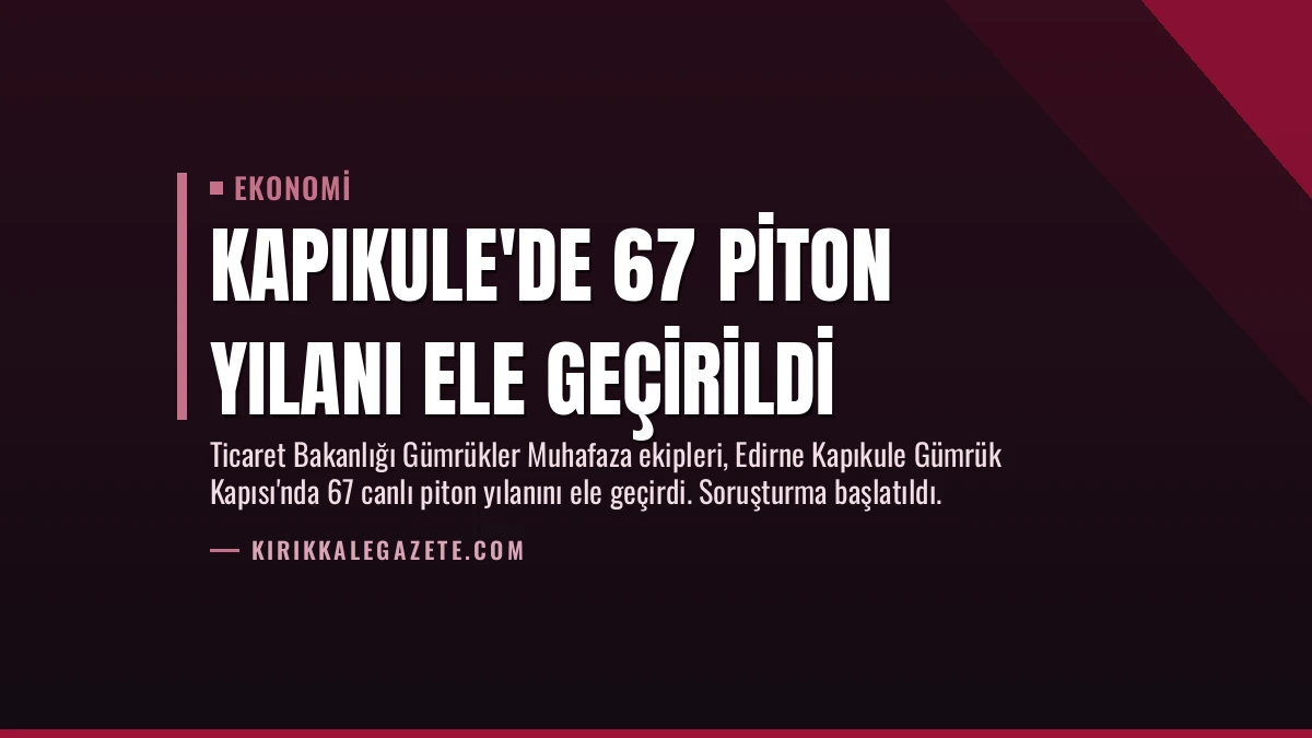Kapıkule’de 67 Piton Yılanı Ele Geçirildi
