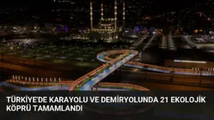 Türkiye’de Karayolu ve Demiryolunda 21 Ekolojik Köprü Tamamlandı